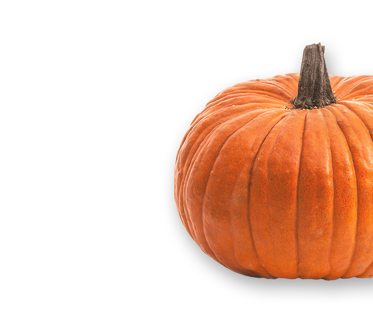 Pumpkin right